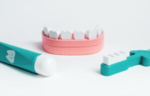 Wooden jaw model with white teeth